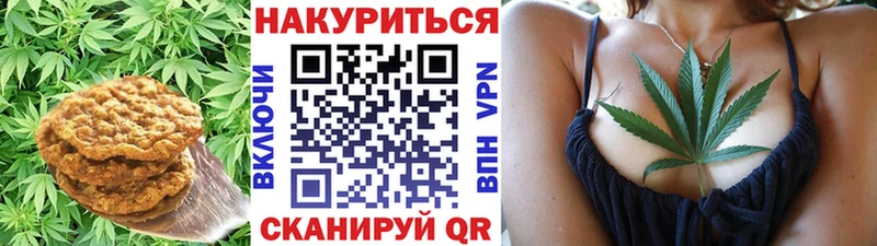 Купить где  Белый  Canna-Cookies конопля 