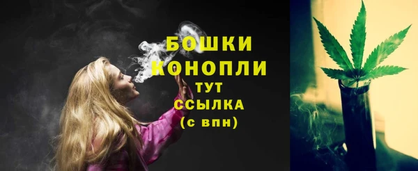 дурь Дмитровск