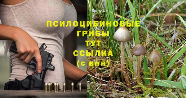 дурь Дмитровск